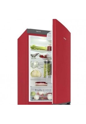 Холодильник із морозильною камерою Snaige RF57SM-S5RB2F