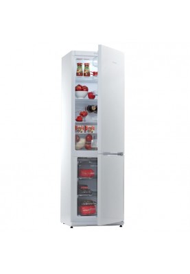 Холодильник із морозильною камерою Snaige RF36SM-S0002F