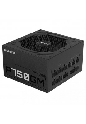 Блок живлення GIGABYTE 750W (GP-P750GM)