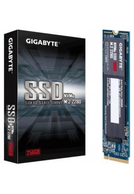 SSD накопичувач GIGABYTE GP-GSM2NE3256GNTD