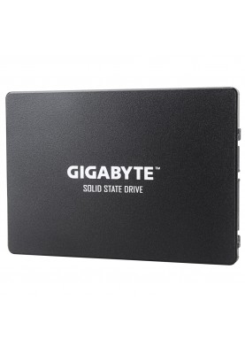 SSD накопичувач GIGABYTE (GP-GSTFS31240GNTD)