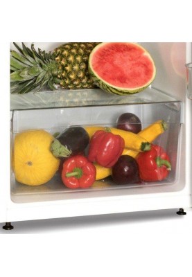 Холодильник із морозильною камерою Snaige FR27SM-PROC0E
