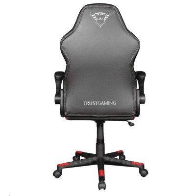 Комп'ютерне крісло для геймера Trust GXT 704 Ravy (24219)