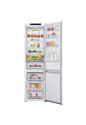 Холодильник с морозильной камерой LG GBB62SWGFN