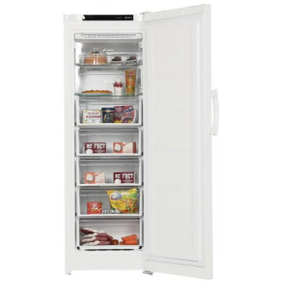 Морозильная камера Indesit DFZ 5175