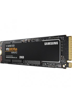 SSD накопичувач Samsung 970 EVO Plus 250 GB (MZ-V7S250BW)