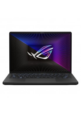 Ноутбук ASUS ROG Zephyrus G14 GA402NJ Eclipse Gray (GA402NJ-L8099)