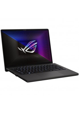 Ноутбук ASUS ROG Zephyrus G14 GA402NJ Eclipse Gray (GA402NJ-L8099)