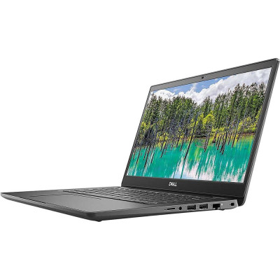 Ноутбук Dell Latitude 3410 Black (N001L341014GE_UBU)