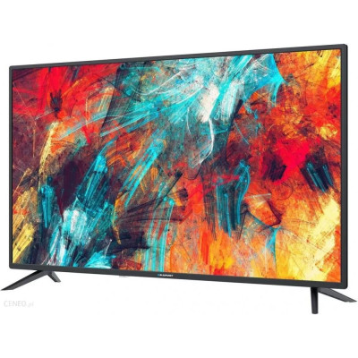 Телевізор Blaupunkt BN40F1372EEB
