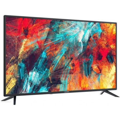Телевізор Blaupunkt BN40F1372EEB