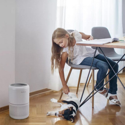 Очисник повітря Levoit Air Purifier Core P350 Pet Care (HEAPAPLVNEU0035)