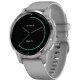 Смарт-годинник Garmin vivoactive 4S Powder Gray/Silver (010-02172-03/010-02172-01)