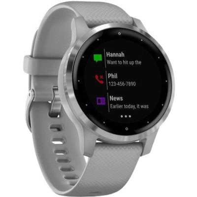 Смарт-годинник Garmin vivoactive 4S Powder Gray/Silver (010-02172-03/010-02172-01)