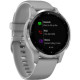 Смарт-годинник Garmin vivoactive 4S Powder Gray/Silver (010-02172-03/010-02172-01)