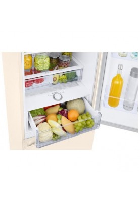 Холодильник із морозильною камерою Samsung RB38T603FEL/UA