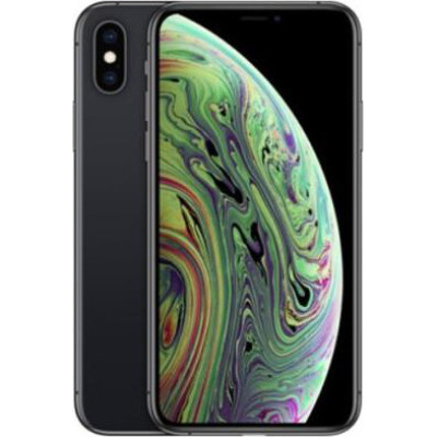 Смартфон Apple iPhone XS 64GB Space Gray (MT9E2)