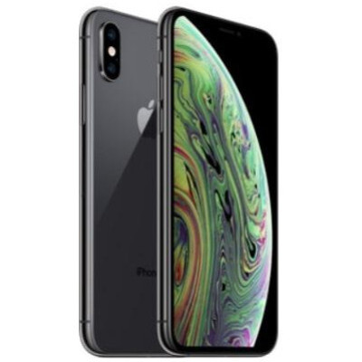Смартфон Apple iPhone XS 64GB Space Gray (MT9E2)