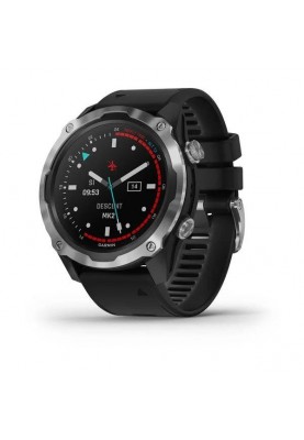 Смарт-годинник Garmin Descent Mk2 Stainless Steel with Black Band (010-02132-00/10)