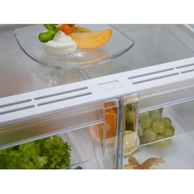 Холодильник із морозильною камерою Electrolux RNT6NE18S