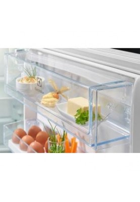 Холодильник із морозильною камерою Electrolux RNT6TE19S