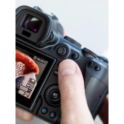 Бездзеркальний фотоапарат Canon EOS R6 kit (24-105mm) IS STM (4082C046)