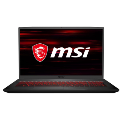 Ноутбук MSI GF75 Thin 10SCSR (10SCSXR-619)
