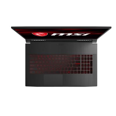 Ноутбук MSI GF75 Thin 10SCSR (10SCSXR-619)