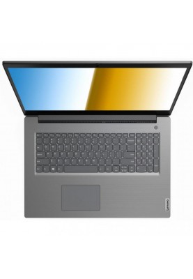 Ноутбук Lenovo V17 Iron Grey (82GX007URA)