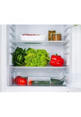 Холодильник із морозильною камерою Gorenje NRK6182PS4