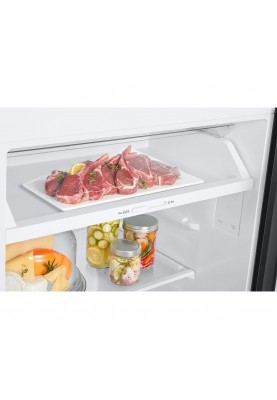 Холодильник із морозильною камерою Samsung RT47CG6442B1