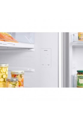 Холодильник із морозильною камерою Samsung RT47CG6442WW