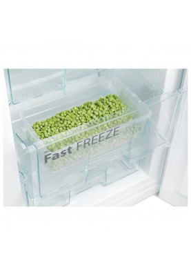 Холодильник з морозильною камерою Snaige RF58SM-S5RB2E