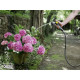 Шланг садовий Karcher Садовий шланг Performance Premium 1/2” 20 м 2.645-324.0
