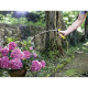 Шланг садовий Karcher Шланг для поливу Performance Plus 1/2" 50 м 2.645-319.0
