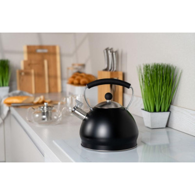 Чайник Ardesto Black Mars (AR0748KS)