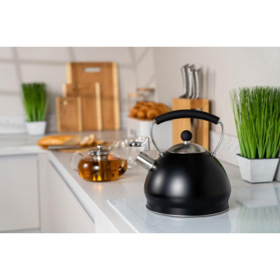 Чайник Ardesto Black Mars (AR0748KS)