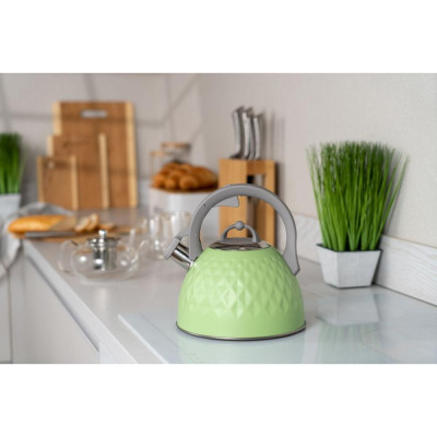 Чайник Ardesto Gemini (AR1947KG)