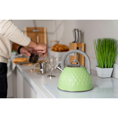 Чайник Ardesto Gemini (AR1947KG)