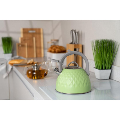 Чайник Ardesto Gemini (AR1947KG)