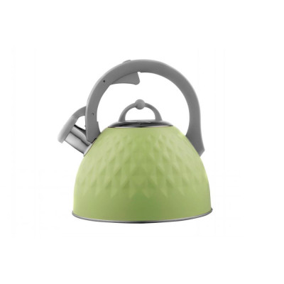 Чайник Ardesto Gemini (AR1947KG)