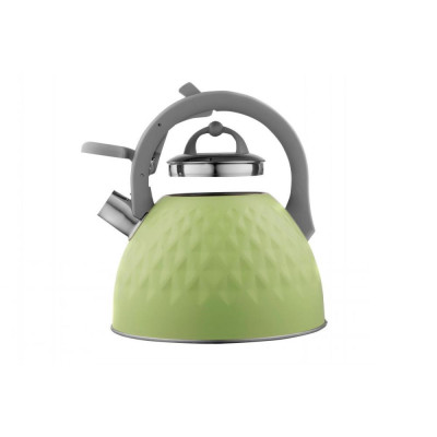 Чайник Ardesto Gemini (AR1947KG)