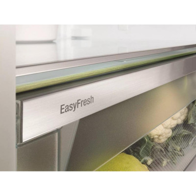 Холодильник із морозильною камерою Liebherr ICd 5123 Холодильник із морозильною камерою Liebherr ICd 5123