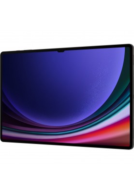Планшет Samsung Galaxy Tab S9 Ultra 12/512GB Wi-Fi Graphite (SM-X910NZAE)