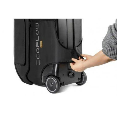 Сумка EcoFlow DELTA Pro Bag (BDELTAPro)