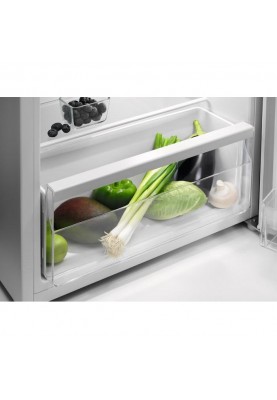 Холодильник із морозильною камерою Zanussi ZEAN11FW0