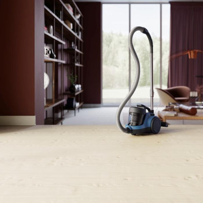 Пилосос безмішковий Electrolux ECC21-4SB