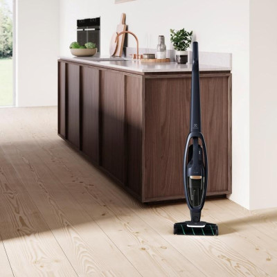 Вертикальний+ручний пилосос (2в1) Electrolux WQ71-P50IB