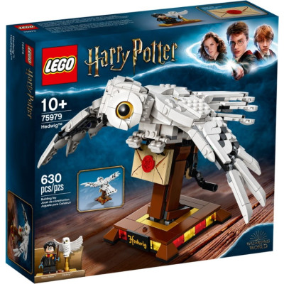 Блоковий конструктор LEGO Harry Potter Букля (75979)