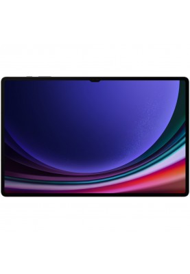 Планшет Samsung Galaxy S9 Ultra 16/1TB 5G Graphite (SM-X916BZAI)